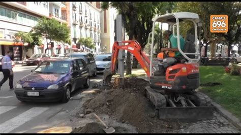 Salerno Alberi A Rischio Crollo Via Agli Abbattimenti YouTube