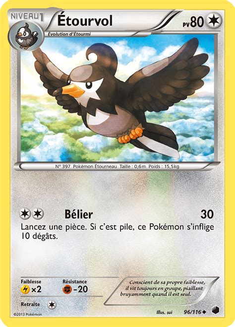 Étourvol NB Glaciation Plasma 096 Cards Hunter