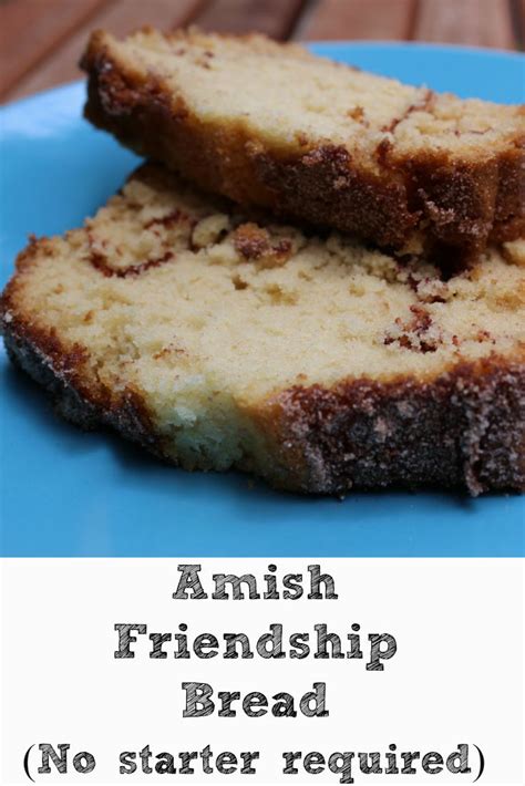 Amish Friendship Bread Starter Recipe Without Yeast