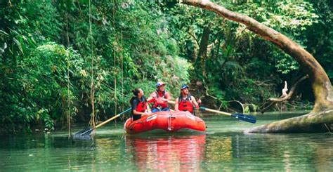 La Fortuna Dschungel Safari Flo Sarapiqui Nach San Jose Getyourguide