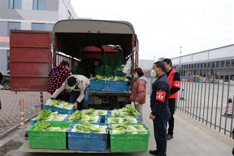 3000亩蔬菜滞销 双流果蔬直通车搭起连心桥四川在线