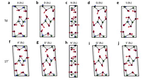 Calculated Vibrational Patterns For Raman Modes That Are Directly Download Scientific Diagram