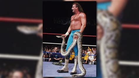 King Wwe Hall Of Fame Wrestler Jake The Snake Roberts