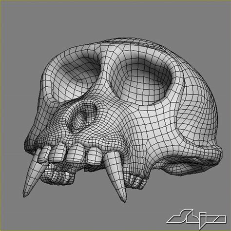 3d Monkey Skull Subdivision 2