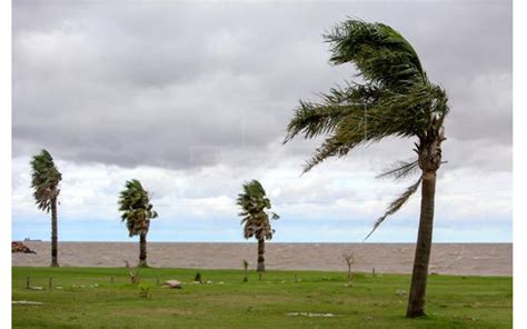 Fuertes Vientos Causan Afectaciones En Nicaragua