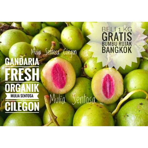 Jual Buah Gandaria Fresh Baru Petik 1 Kg Buah Jatake Mentah 1 Kg