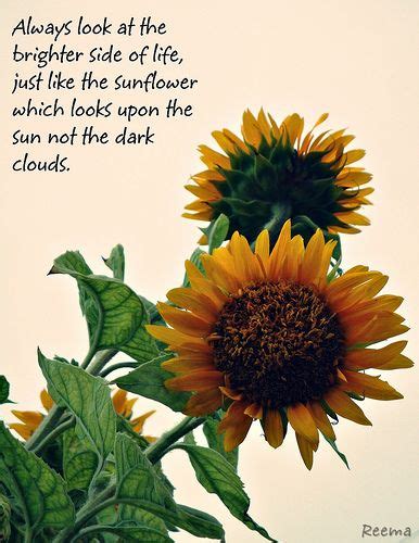 30 Sunflower Quotes for the Fall Season. ideas | sunflower quotes ...