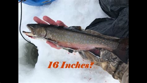 Brook Trout Ice Fishing Big Fish Off The Beaten Path Youtube