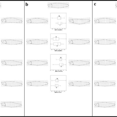 Summary Of Landmark Based Geometric Morphometric Analysis Showing The