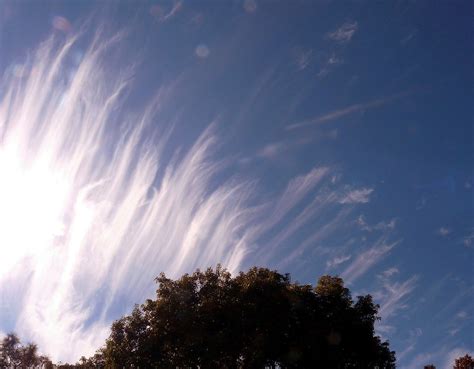 Cirrus Clouds Charlie Carroll Flickr