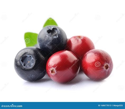 Sweet Berry Of Cranberries And Blueberries Stock Image Image Of