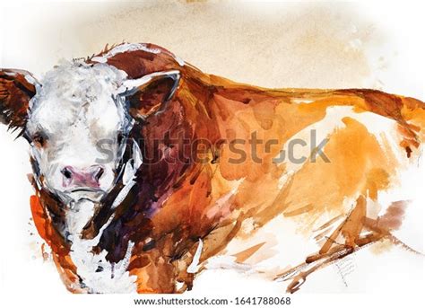 Hereford Bull Animal Illustration Watercolor Hand Stock Illustration