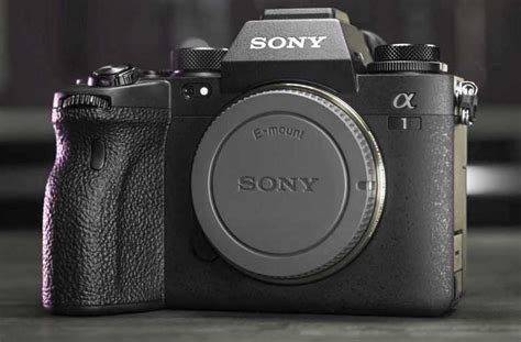 Sony A1 Review - GottaPics
