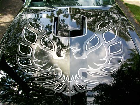 1979 Trans Am Hood Decal Design Corral