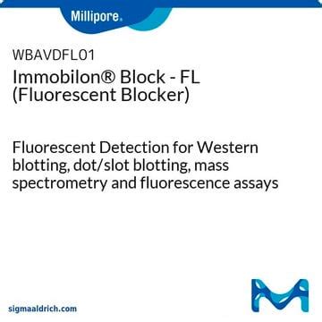 Immobilon Fl Fluorescent Detection For Western Blotting