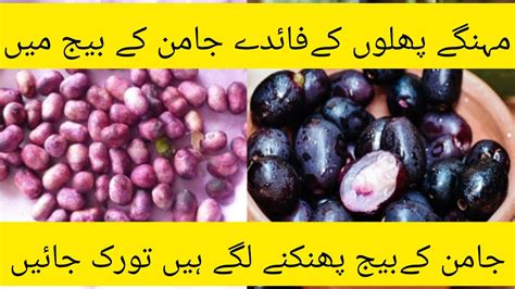 Jamun Powder Benefits Jamun Seed Powder How To Use Youtube