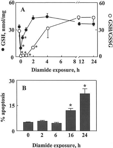 Effect Of Diamide Treatment On Cellular GSH And GSSG In CaCo 2 Cells At