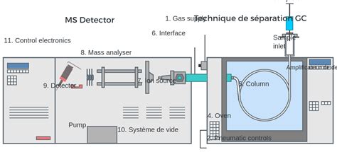 La Chromatographie En Phase Gazeuse La Spectrométrie De Masse Gc Ms Labster Theory