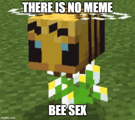 Bee Sex R Minecraftmemes