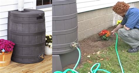 Demystifying The Downspout Diverter For Rain Barrels 59 Off