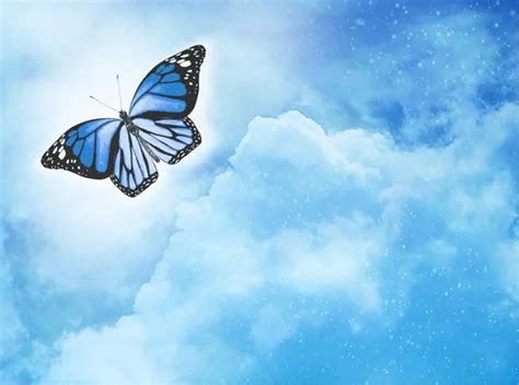 Blue Butterfly Flying In The Sky