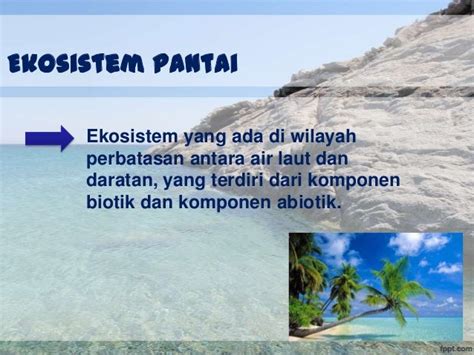 Unduh 93 Gambar Ekosistem Pantai Pasir Gratis - Pixabay Pro