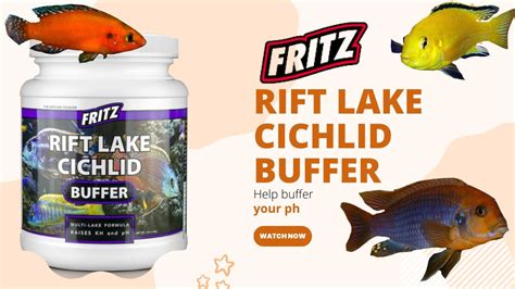 Fritz Rift Lake Cichlid Buffer The Perfect Solution For Your Cichlid S