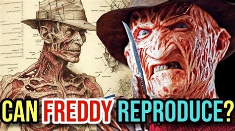 Freddy Krueger Anatomy Can Freddy Reproduce Is He Truly Immortal A