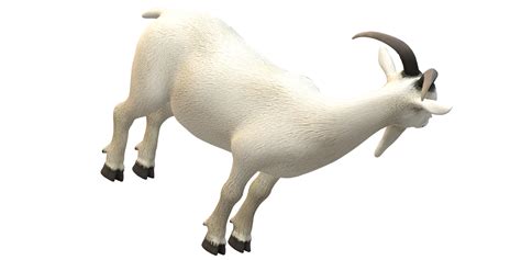 Goat isolated on a Transparent Background 34487692 PNG