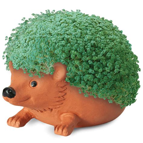 Classic Hedgehog Chia Pet Chia