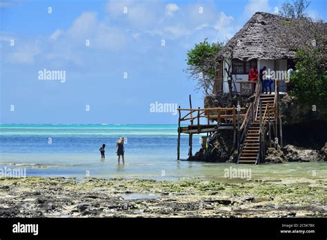 Pingwe Zanzibar October Tourists Visit The Rock Restaurant