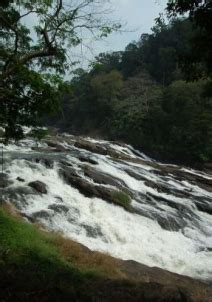 Athirapally Tourism, Travel Guide & Tourist Places in Athirapally-NativePlanet