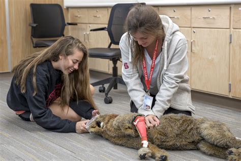 Veterinary School