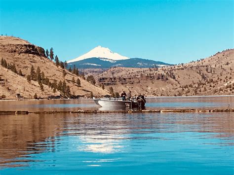 Fishing Lake Billy Chinook, Three Rivers Marina | Lake fishing, Lake ...