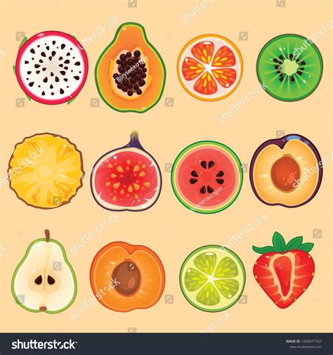 Illustration Fruits Set Sections 库存矢量图（免版税）1450977707 Shutterstock