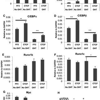 CTCF Knockdown Alters Expression Of The Downstream Genes In PUER Cells