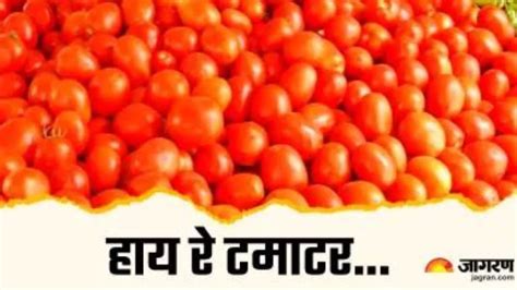 Tomato Price टमाटर की महंगाई से हाहाकार के बीच आई गुड न्यूज जल्द