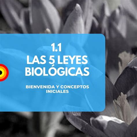 1 Las 5 leyes biológicas NMGando