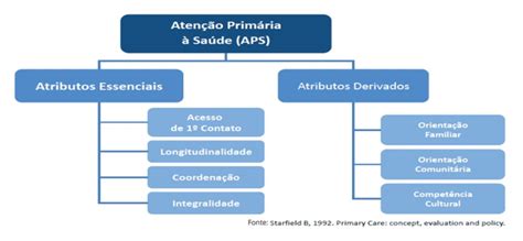 Atenção Primária à Saúde o que é princípios e serviços