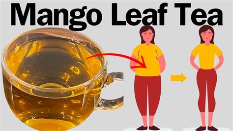 Mango Leaf Tea And The Health Benefits Youtube