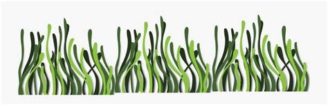 Seaweed Euclidean Vector Deep Sea - Sea Grass Vector Background , Free Transparent Clipart ...