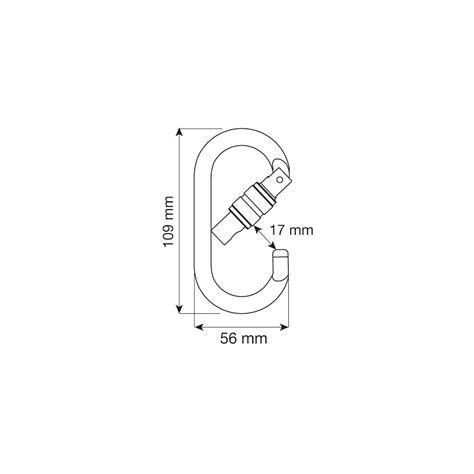 Mousqueton OVAL PRO LOCK Mousquetons connecteurs Échelle Européenne