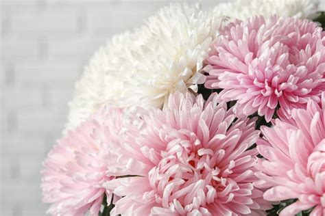 Beautiful Aster Flower Bouquet Near Brick Wall Stock Photo - Image of flowers, festive: 126246190