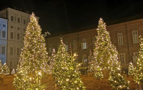 Alberi di Natale a Torino i 5 più belli da vedere assolutamente