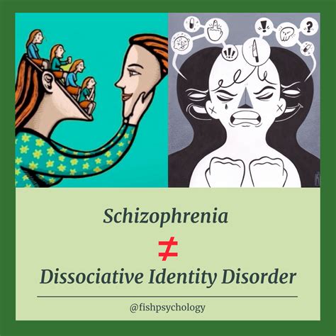 Schizophrenia Vs Dissociative Identity Disorder Did