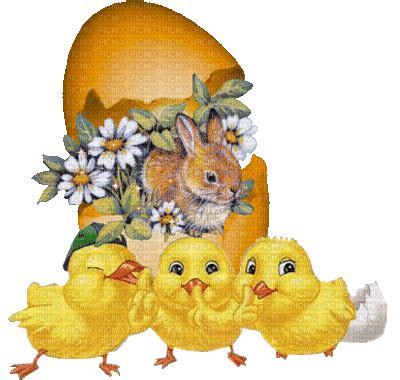 Happy Easter Gif, animated , gif , flower , deco , easter , spring , yellow , happy , melainlove ...