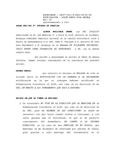 Nulidad De Actuados Pdf Ley Procesal Justicia