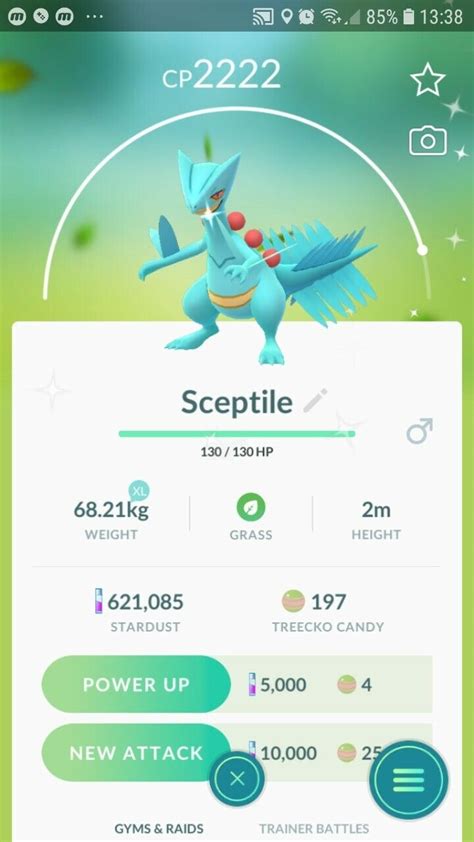 Pokemon Sceptile