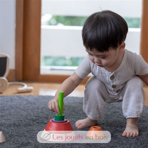 Pyramide Empiler Et Encastrer Plan Toys Les Jouets En Bois