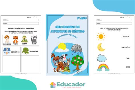 20 atividades de Ciências 1 ano fundamental Educador